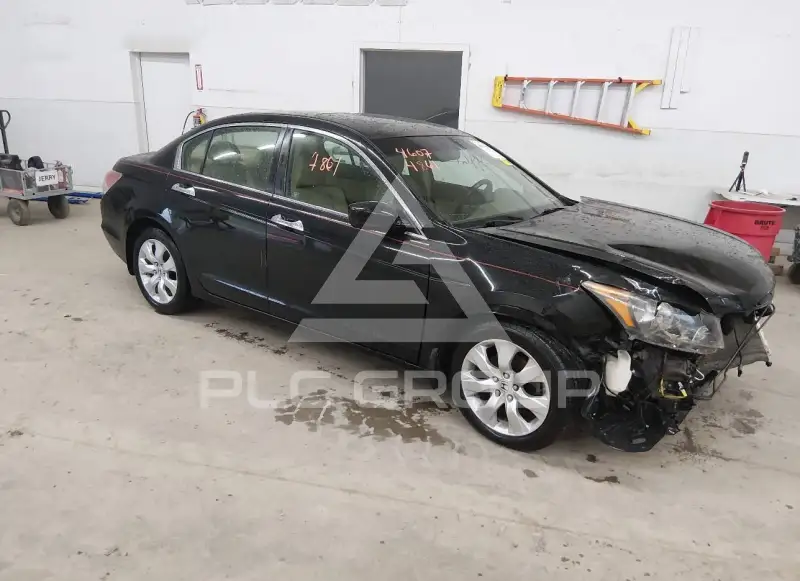 2009 Honda Accord фото