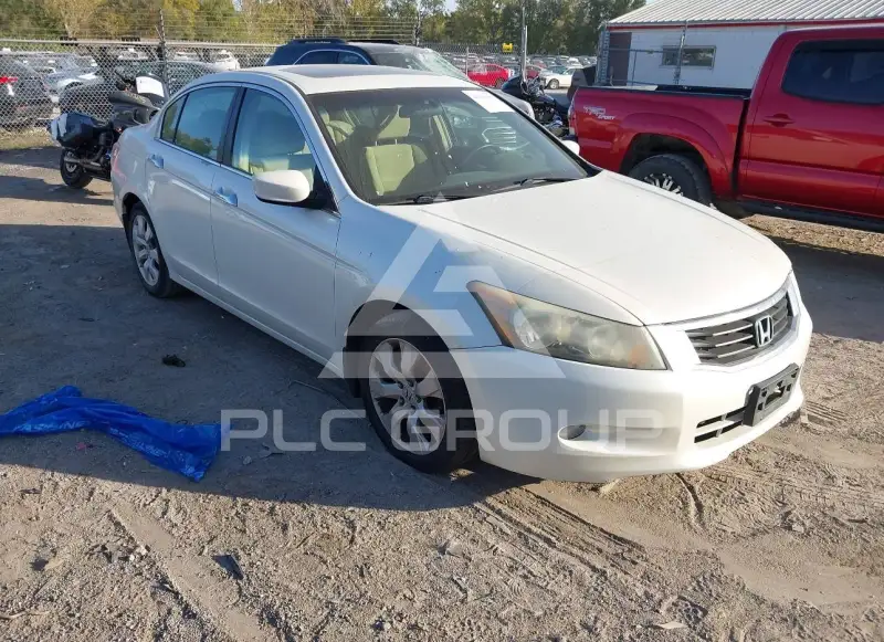 2009 Honda Accord фото