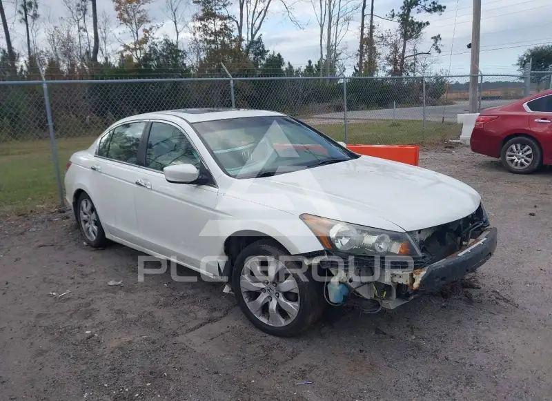 2009 Honda Accord фото