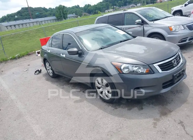 2009 Honda Accord фото