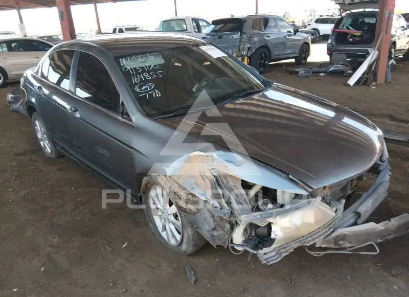 2009 Honda Accord фото