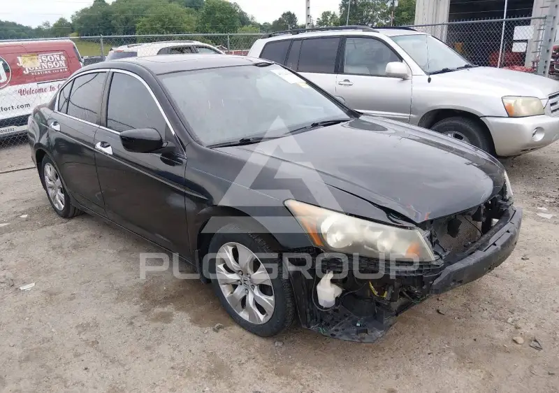 2009 Honda Accord фото