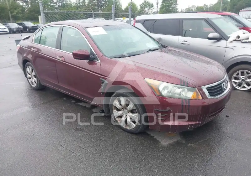 2009 Honda Accord фото