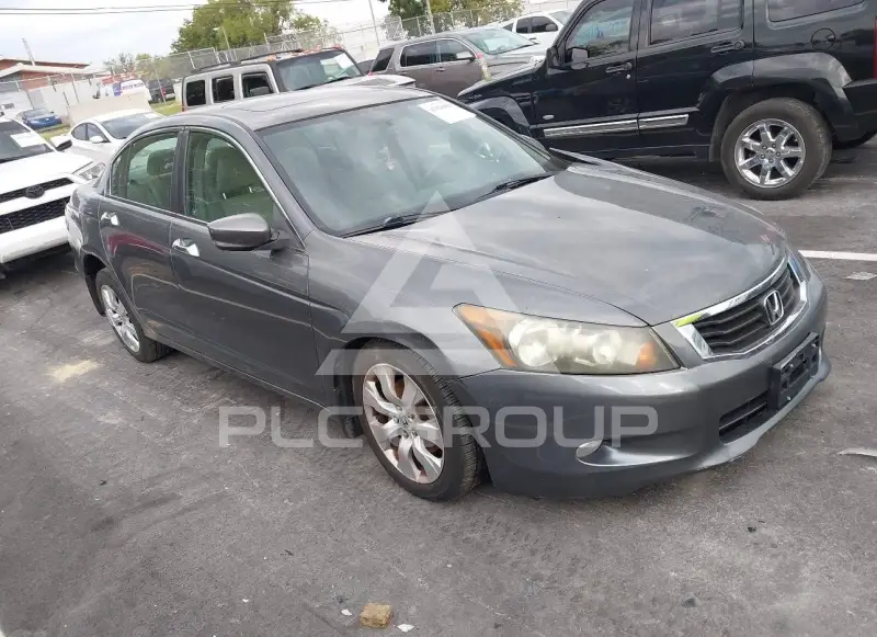 2009 Honda Accord фото