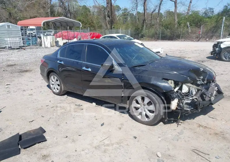 2009 Honda Accord фото