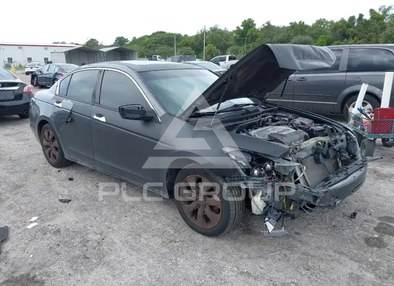 2009 Honda Accord фото