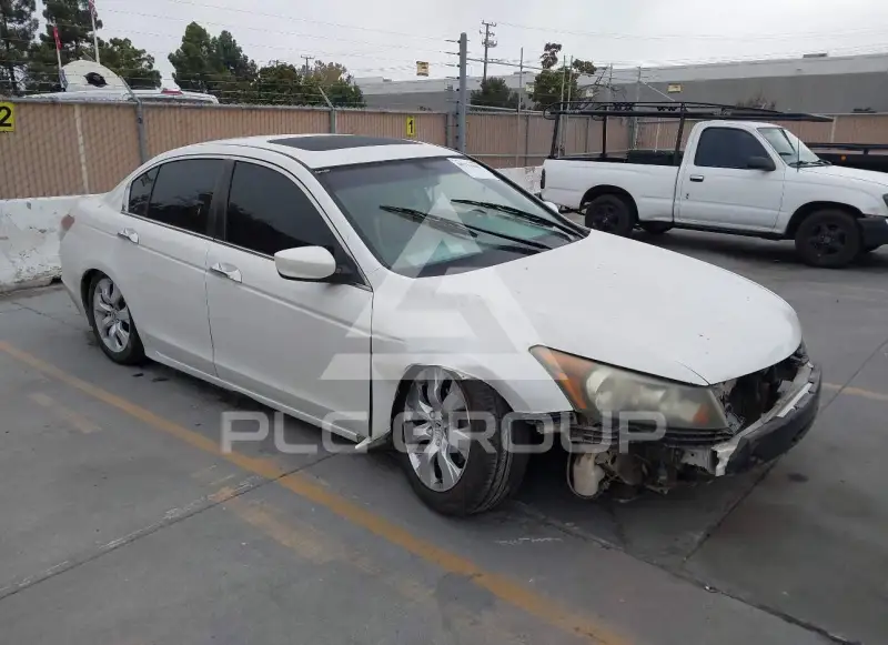 2009 Honda Accord photo