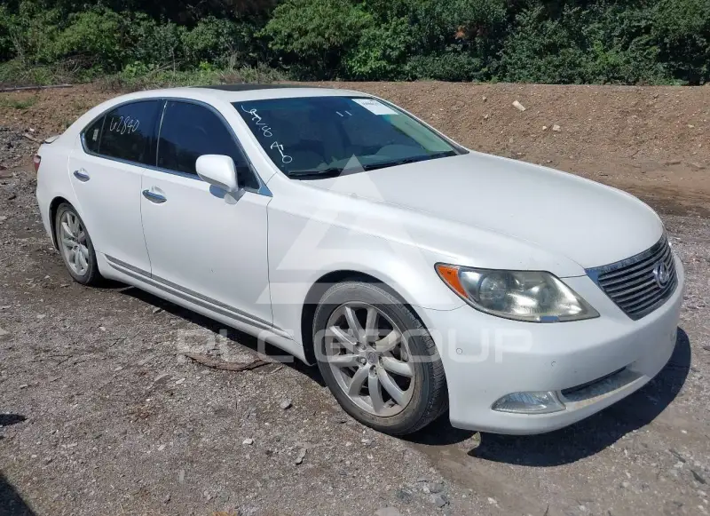 2009 Lexus LS460 фото