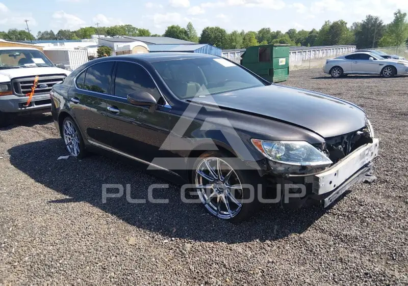 2009 Lexus LS460 фото