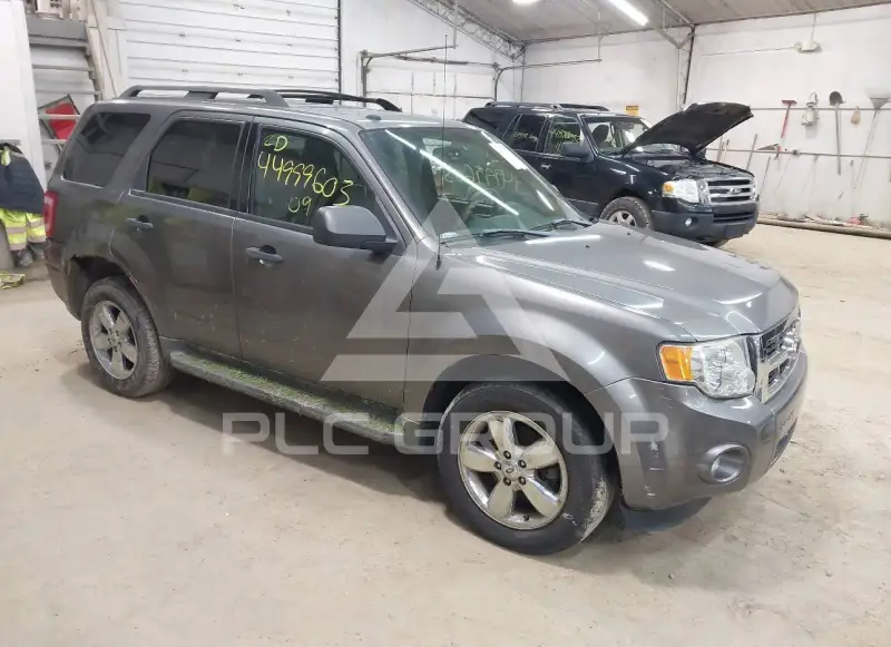 2009 Ford ESCAPE фото