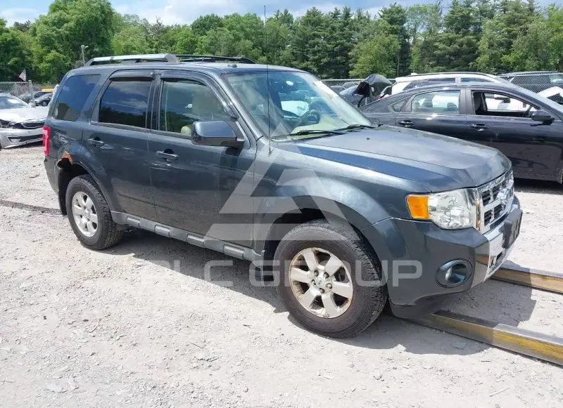 2009 Ford ESCAPE photo