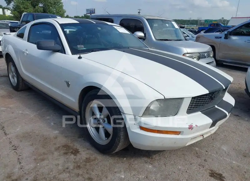 2009 Ford MUSTANG photo
