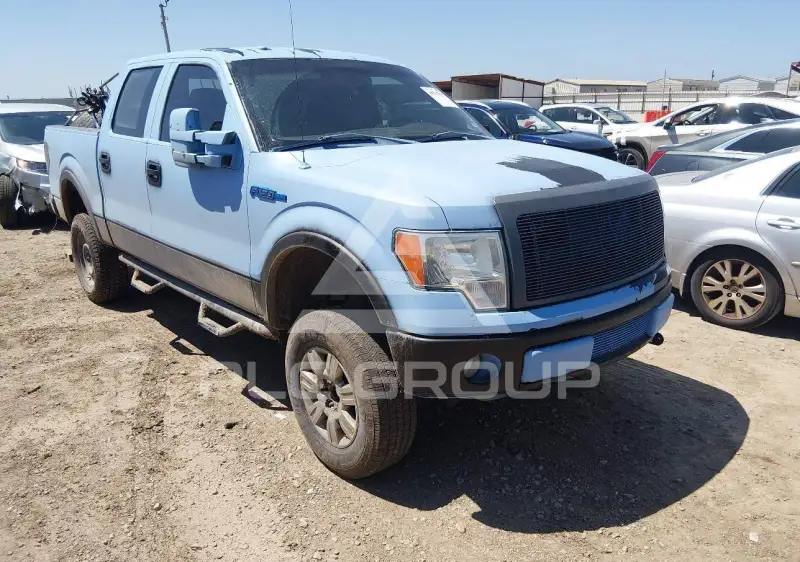2009 Ford F-150 photo