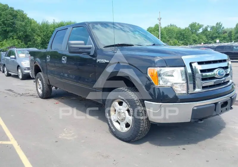 2009 Ford F-150 фото
