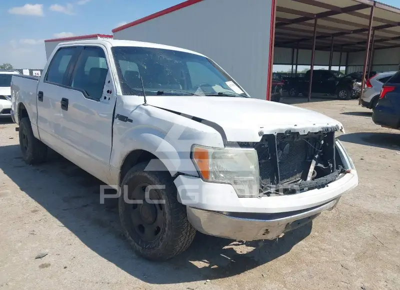 2009 Ford F-150 photo