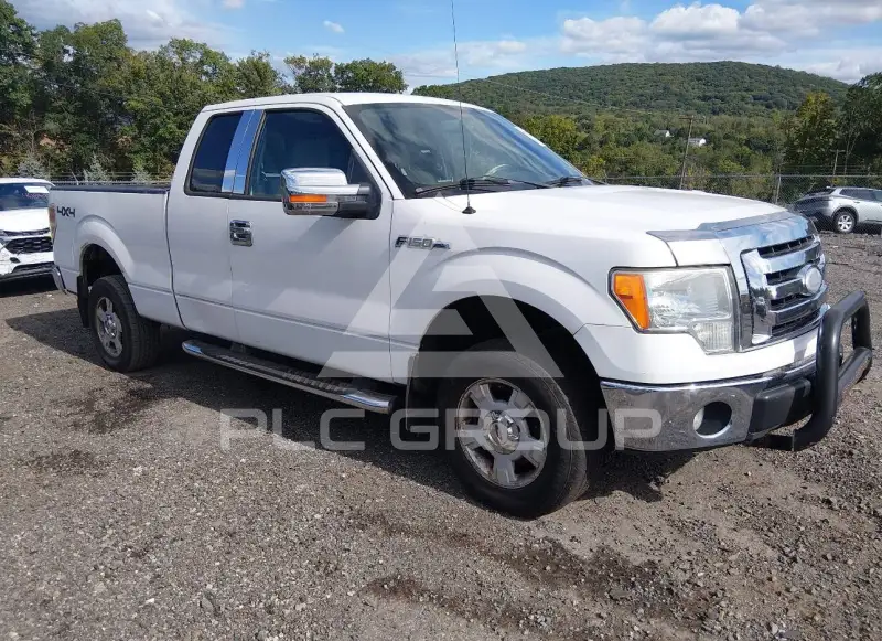 2009 Ford F-150 photo