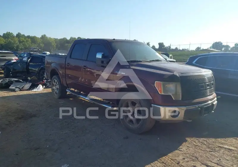 2009 Ford F-150 photo