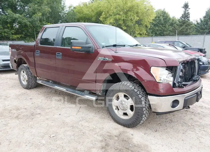 2009 Ford F-150 фото