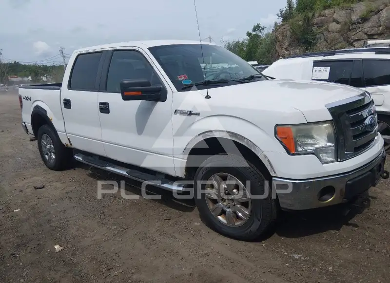 2009 Ford F-150 фото