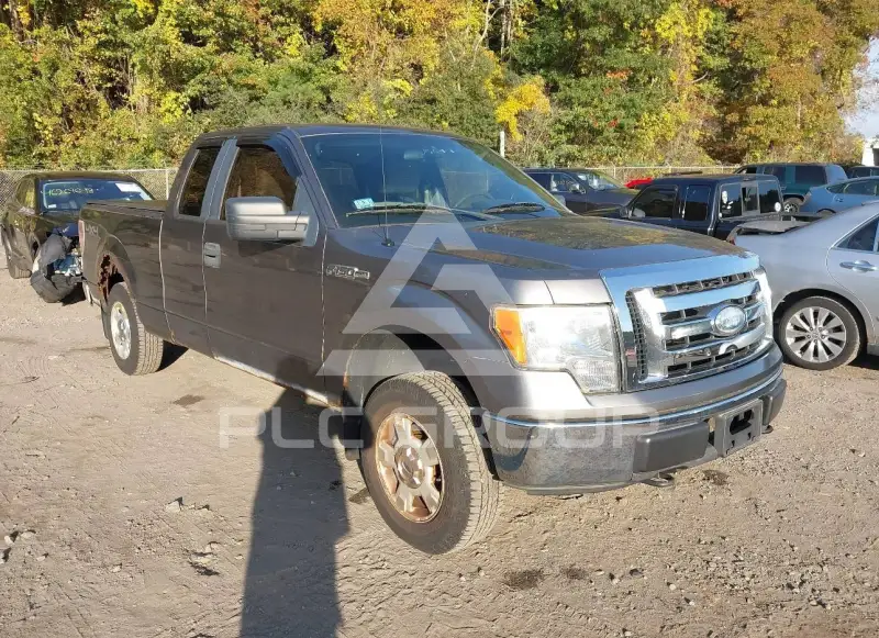 2009 Ford F-150 фото