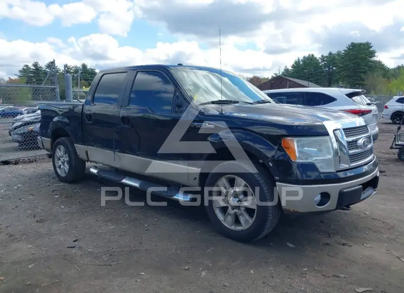 2009 Ford F-150 фото