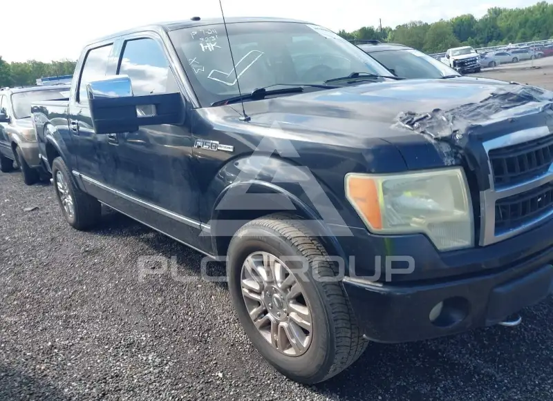 2009 Ford F-150 photo