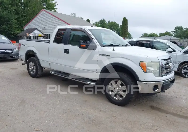 2009 Ford F-150 photo