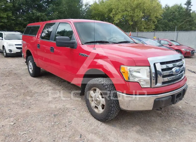 2009 Ford F-150 photo