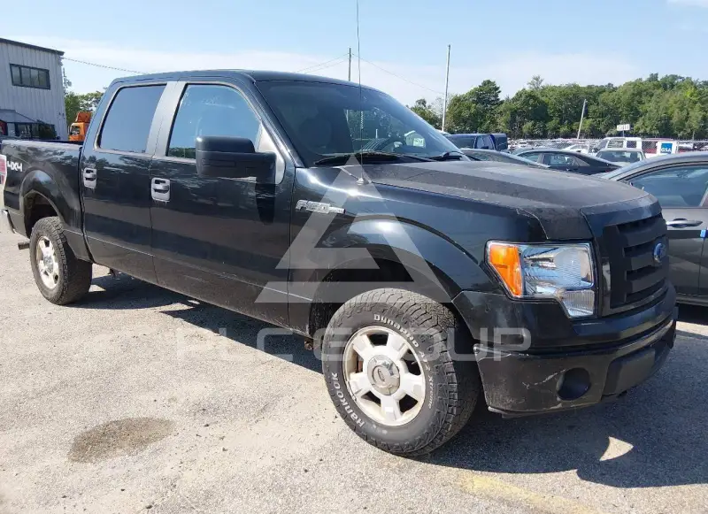 2009 Ford F-150 photo