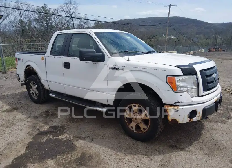 2009 Ford F-150 photo