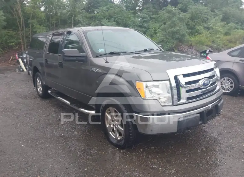 2009 Ford F-150 фото