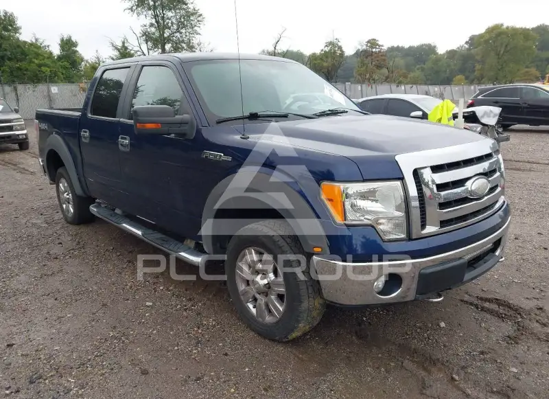 2009 Ford F-150 photo