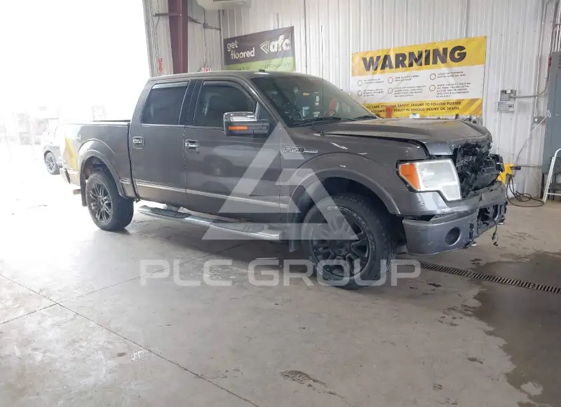 2009 Ford F-150 photo