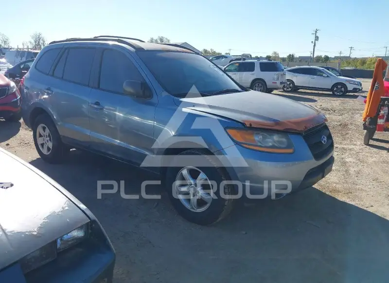 2009 Hyundai Santa Fe фото