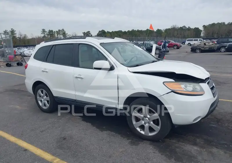 2009 Hyundai Santa Fe фото