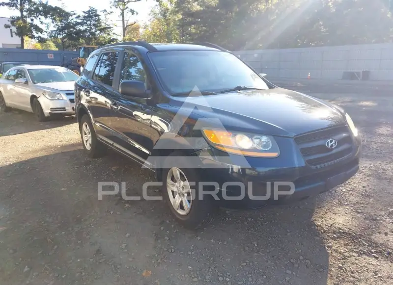 2009 Hyundai Santa Fe фото