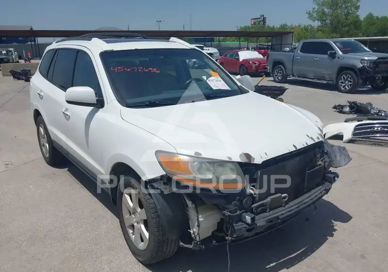 2009 Hyundai Santa Fe фото