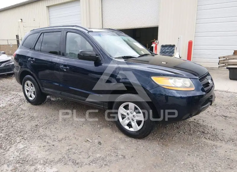 2009 Hyundai Santa Fe фото
