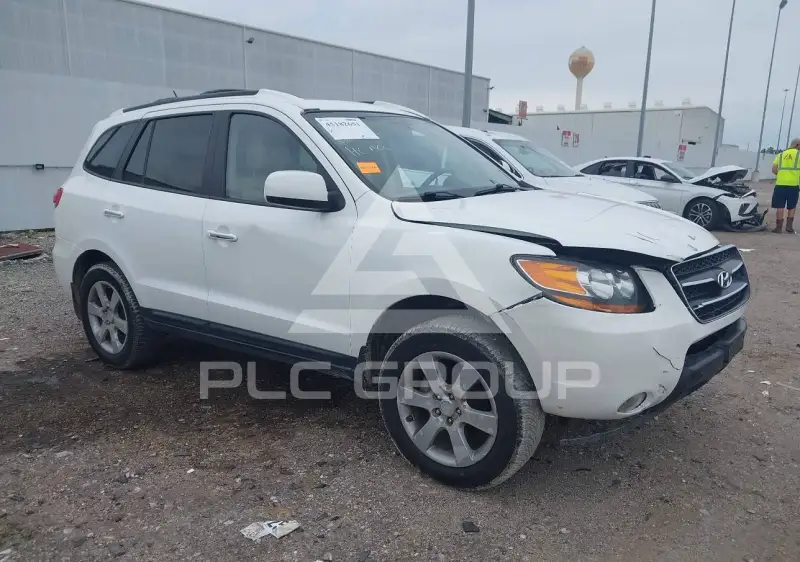 2009 Hyundai Santa Fe фото