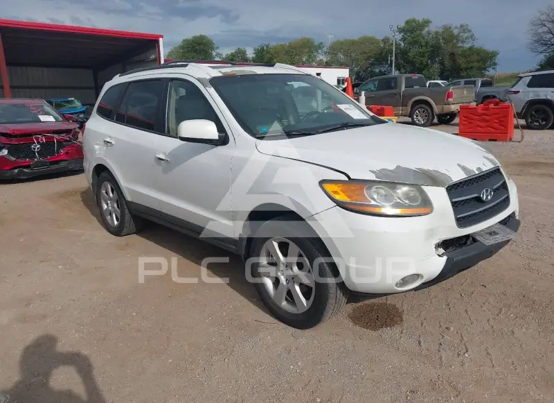 2009 Hyundai Santa Fe фото