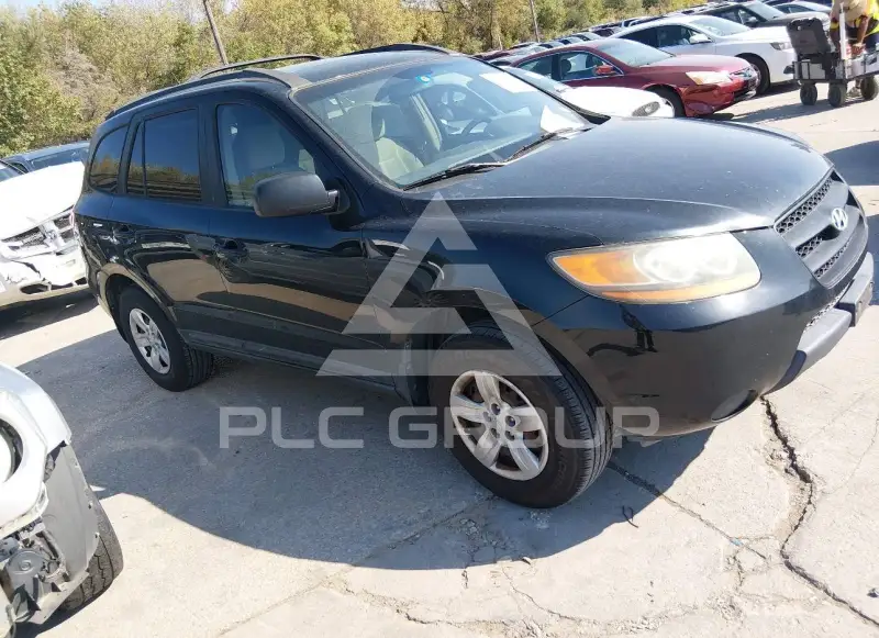 2009 Hyundai Santa Fe фото