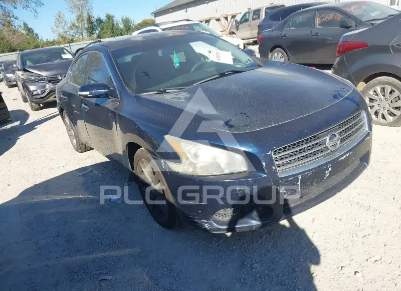 2010 Nissan MAXIMA photo