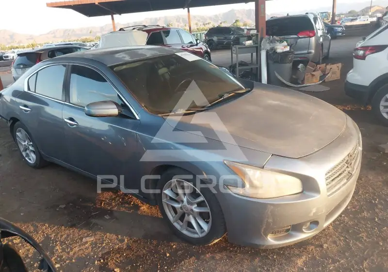 2010 Nissan MAXIMA photo
