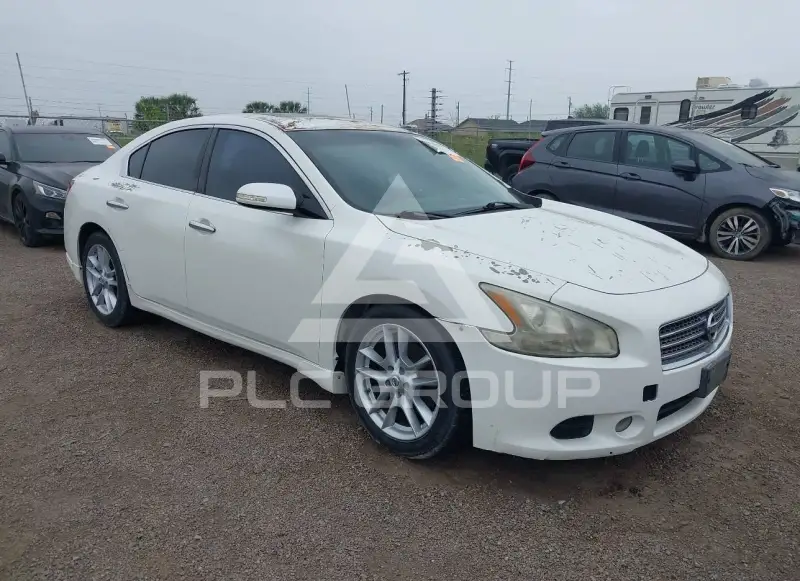 2010 Nissan MAXIMA фото