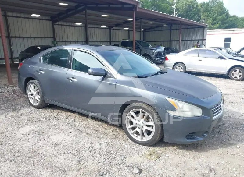2010 Nissan MAXIMA фото