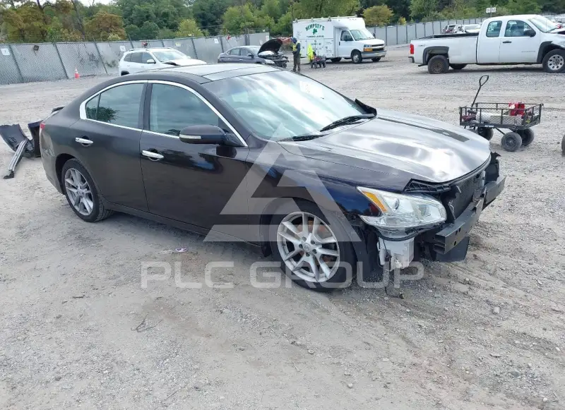 2010 Nissan MAXIMA фото