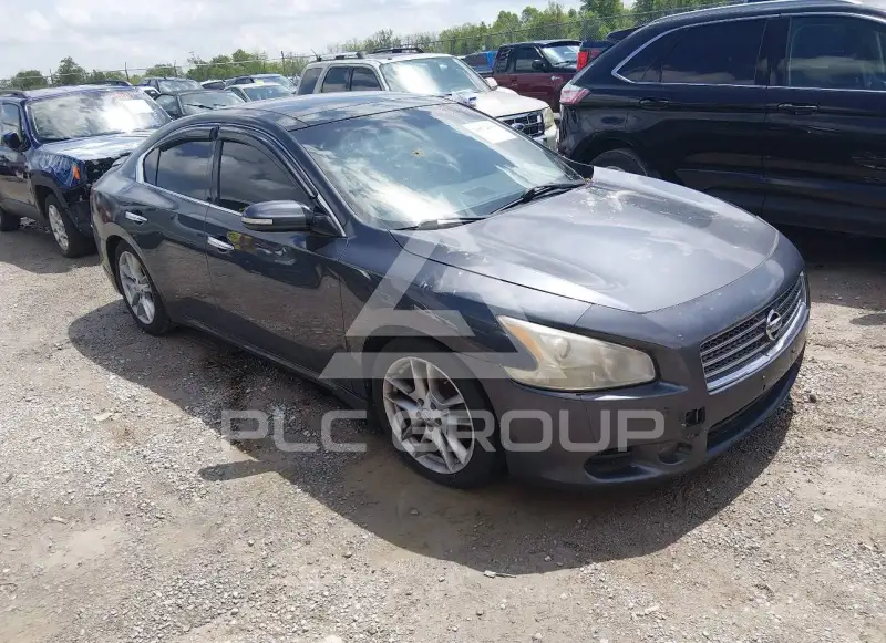 2010 Nissan MAXIMA фото