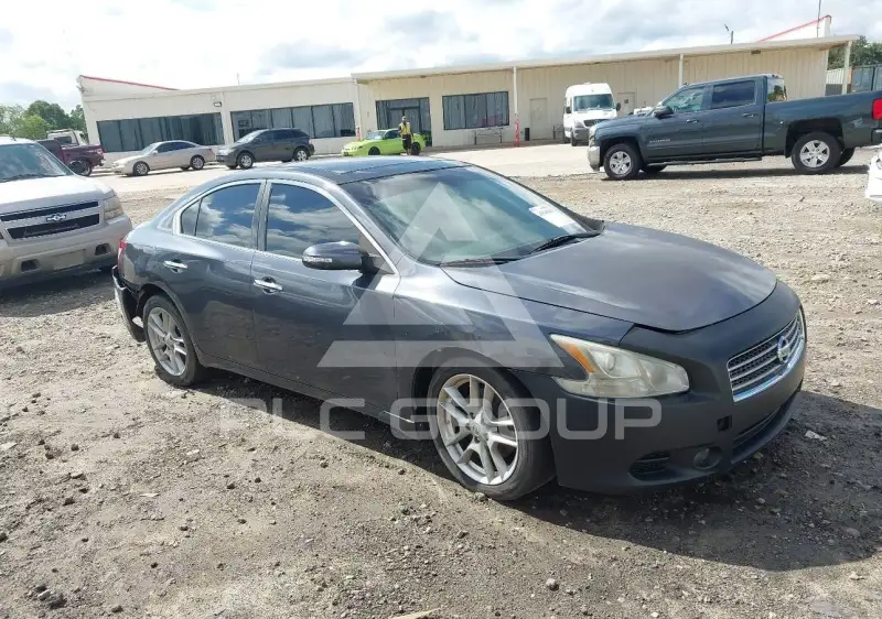 2010 Nissan MAXIMA фото