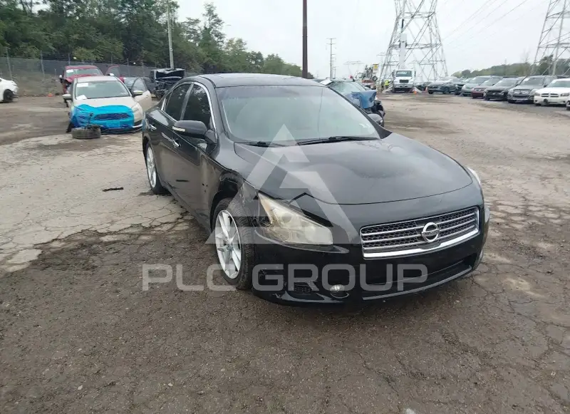 2010 Nissan MAXIMA photo