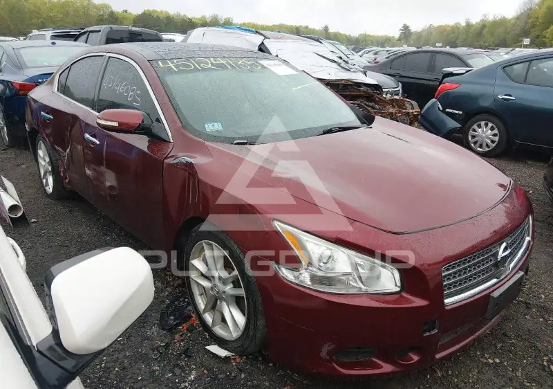 2010 Nissan MAXIMA photo